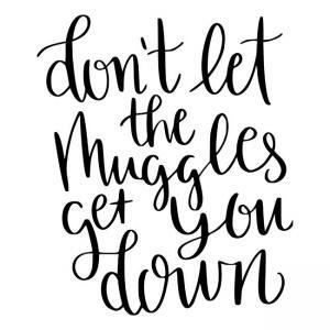 Don't-let-the-muggles-get-you-down