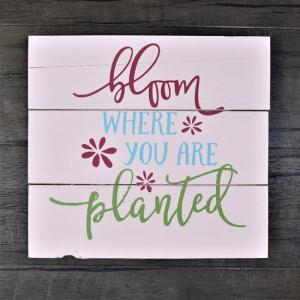 Bloom_where_you_are_planted3_650x650